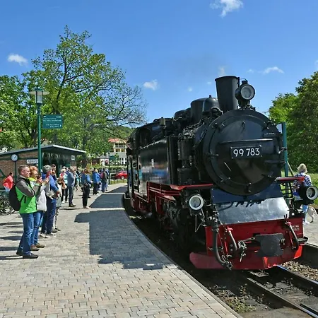 Lejlighed 2-raumapp Kormoran Souterrain, Mit Wiesenterrasse Ohne Seeblick Sellin (Rugen)